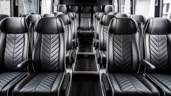 28 passenger minibus rental arlington heights